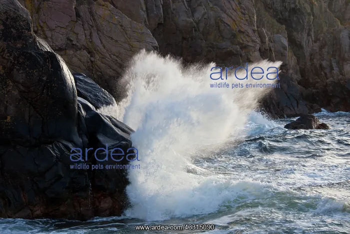 : 80199027 Wave - at coastline Visitgrotta, Kullaberg : 80199027 Wave - at coastline Visitgrotta, Kullaberg