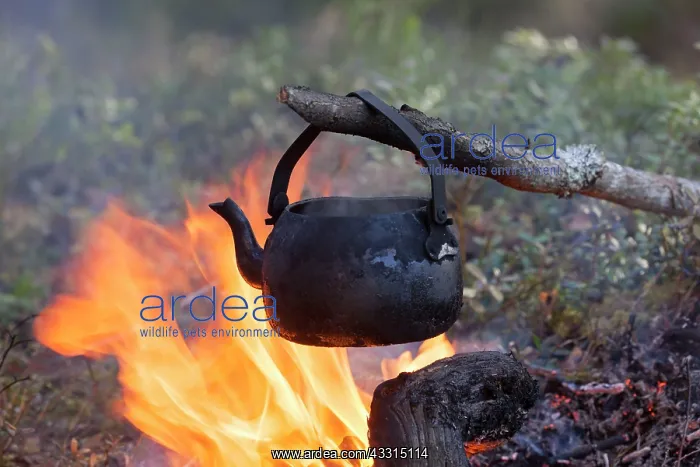 : 80199029 Camp Fire - with Tin Kettle Dalarna, Sweden : 80199029 Camp Fire - with Tin Kettle Dalarna, Sweden