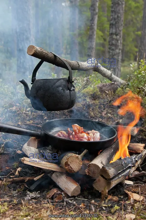 : 80199031 Camp Fire - with Tin Kettle Dalarna, Sweden : 80199031 Camp Fire - with Tin Kettle Dalarna, Sweden