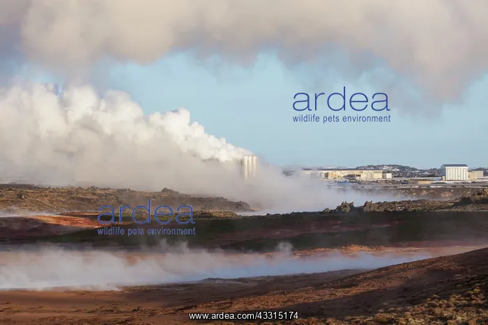: 80199034 Geothermal Power Plant Sudurnes - at a : 80199034 Geothermal Power Plant Sudurnes - at a