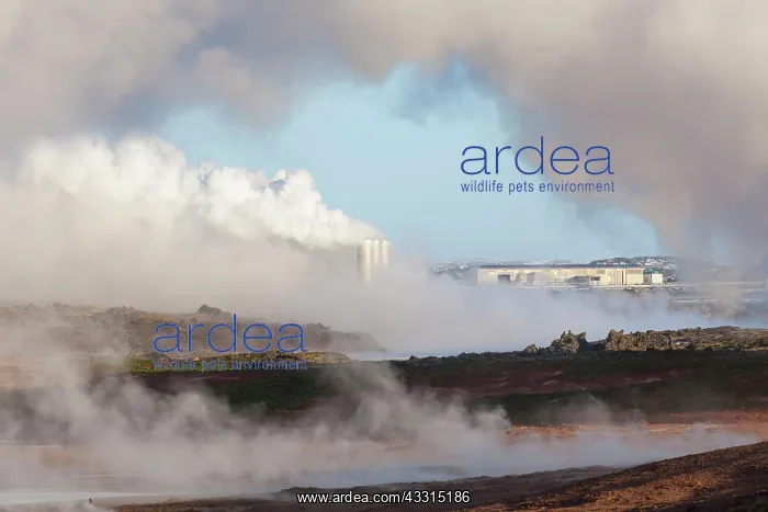 : 80199035 Geothermal Power Plant Sudurnes - at a : 80199035 Geothermal Power Plant Sudurnes - at a