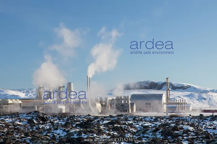 : 80199038 Geothermal Power Plant Svartsengi, Grindavik : 80199038 Geothermal Power Plant Svartsengi, Grindavik