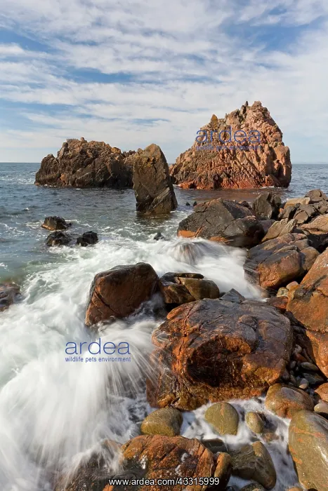 : 80199062 Rocks and Cliffs - at coastline Visitgrotta : 80199062 Rocks and Cliffs - at coastline Visitgrotta