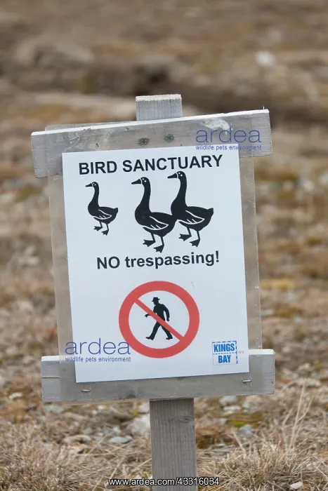 : 80199066 Bird Reserve Sanctuary - warning sign Ny-Alesund : 80199066 Bird Reserve Sanctuary - warning sign Ny-Alesund