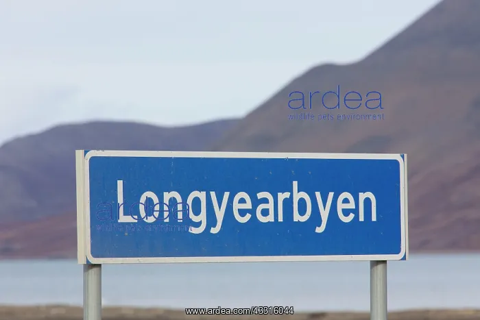 : 80199067 Longyearbyen Signpost Svalbard, Norway : 80199067 Longyearbyen Signpost Svalbard, Norway