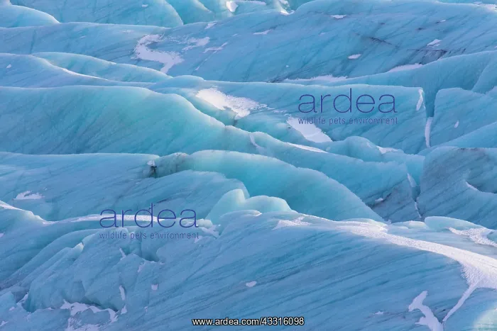 : 80199073 Svinafellsjoekull Glacier Vatnajoekull : 80199073 Svinafellsjoekull Glacier Vatnajoekull