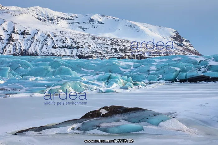 : 80199074 Svinafellsjoekull Glacier Vatnajoekull : 80199074 Svinafellsjoekull Glacier Vatnajoekull