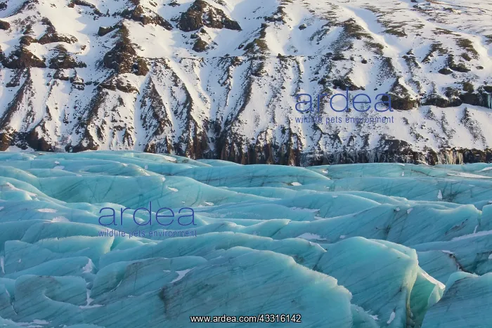 : 80199077 Svinafellsjoekull Glacier Vatnajoekull : 80199077 Svinafellsjoekull Glacier Vatnajoekull