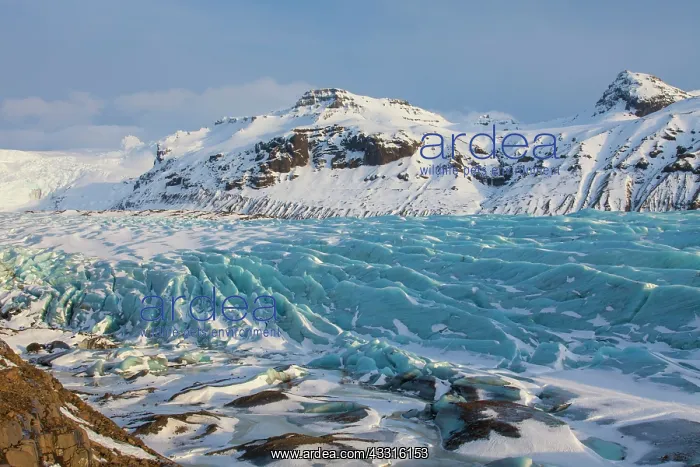 : 80199078 Svinafellsjoekull Glacier Vatnajoekull : 80199078 Svinafellsjoekull Glacier Vatnajoekull