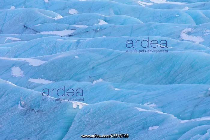: 80199081 Svinafellsjoekull Glacier Vatnajoekull : 80199081 Svinafellsjoekull Glacier Vatnajoekull