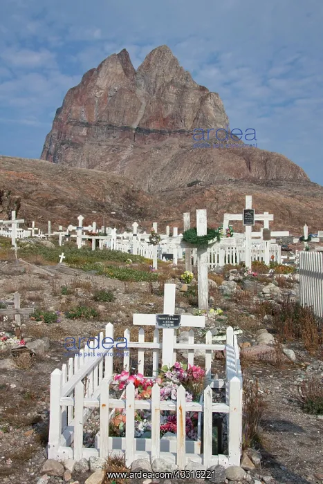 : 80199083 Cemetery Uummannaq, Greenland Sven-Erik : 80199083 Cemetery Uummannaq, Greenland Sven-Erik