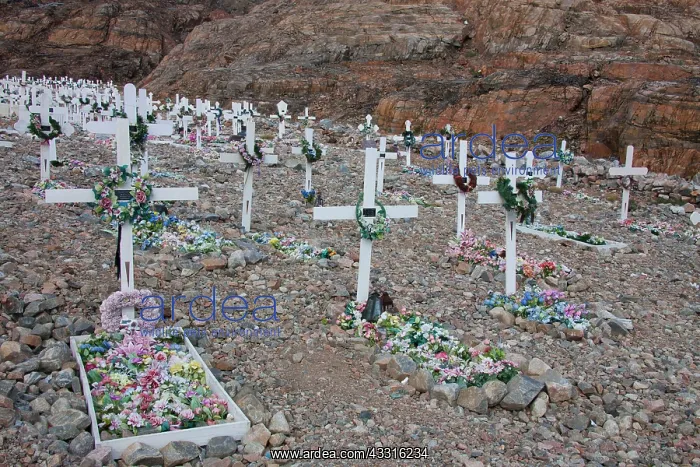 : 80199084 Cemetery Uummannaq, Greenland Sven-Erik : 80199084 Cemetery Uummannaq, Greenland Sven-Erik