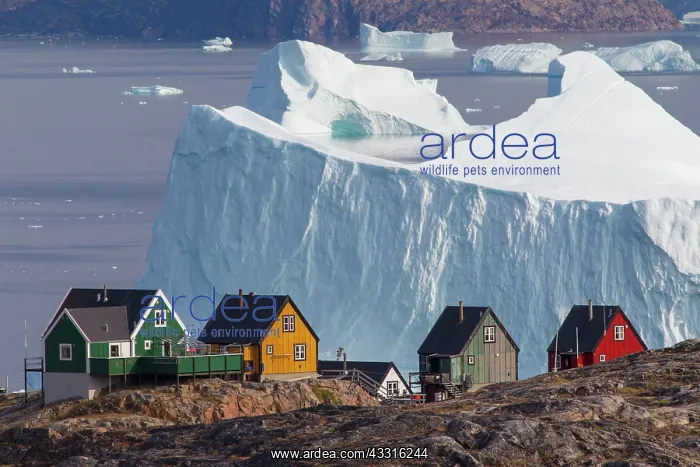  : 80199085 Uummannaq - with it's coloured houses and