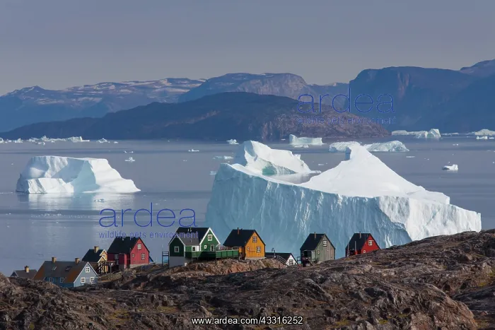 : 80199086 Uummannaq - with it's coloured houses and : 80199086 Uummannaq - with it's coloured houses and