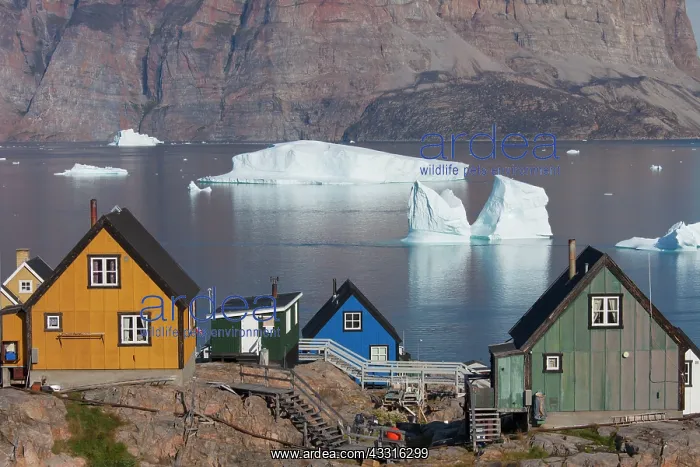 : 80199090 Uummannaq - with it's coloured houses and : 80199090 Uummannaq - with it's coloured houses and