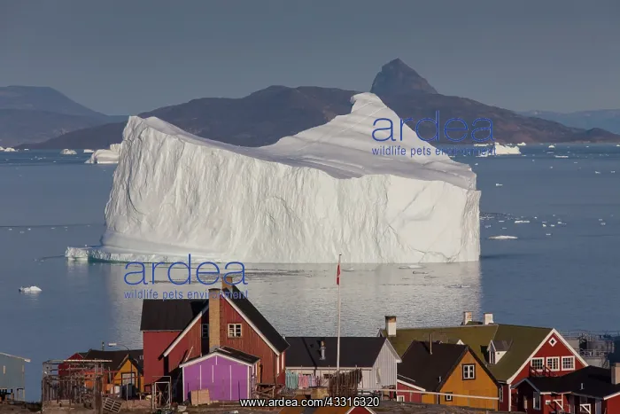 : 80199092 Uummannaq - with it's coloured houses and : 80199092 Uummannaq - with it's coloured houses and