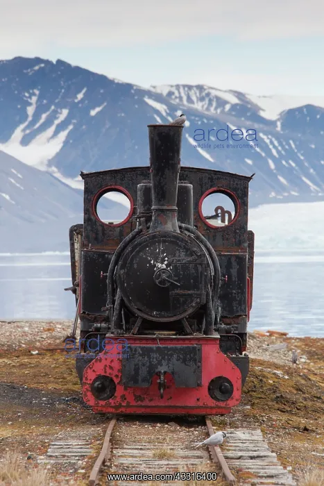 : 80199099 Mine Railway Train Ny-Alesund, Svalbard : 80199099 Mine Railway Train Ny-Alesund, Svalbard