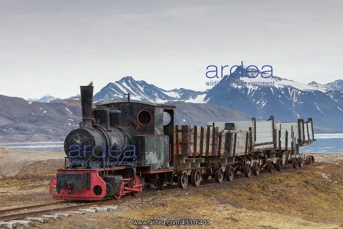 : 80199100 Mine Railway Train Ny-Alesund, Svalbard : 80199100 Mine Railway Train Ny-Alesund, Svalbard