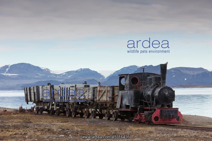 : 80199102 Mine Railway Train Ny-Alesund, Svalbard : 80199102 Mine Railway Train Ny-Alesund, Svalbard