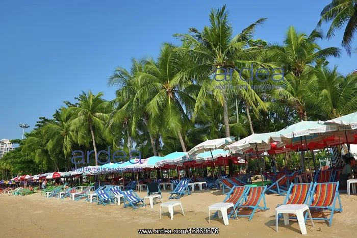 : 80199150 Tropical beach scene with umbrellas on : 80199150 Tropical beach scene with umbrellas on