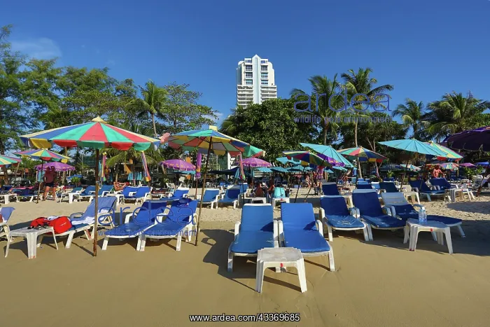 : 80199151 Umbrellas and Sunloungers Patong Beach : 80199151 Umbrellas and Sunloungers Patong Beach