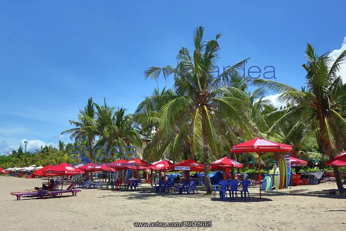 : 80199155 Beach umbrellas and deckchairs Legian Beach : 80199155 Beach umbrellas and deckchairs Legian Beach