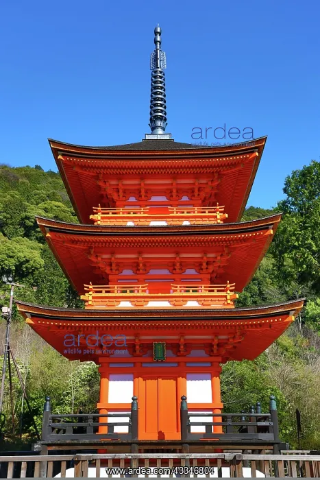 : 80199174 Three storey orange pagoda Kiyomizu-dera : 80199174 Three storey orange pagoda Kiyomizu-dera