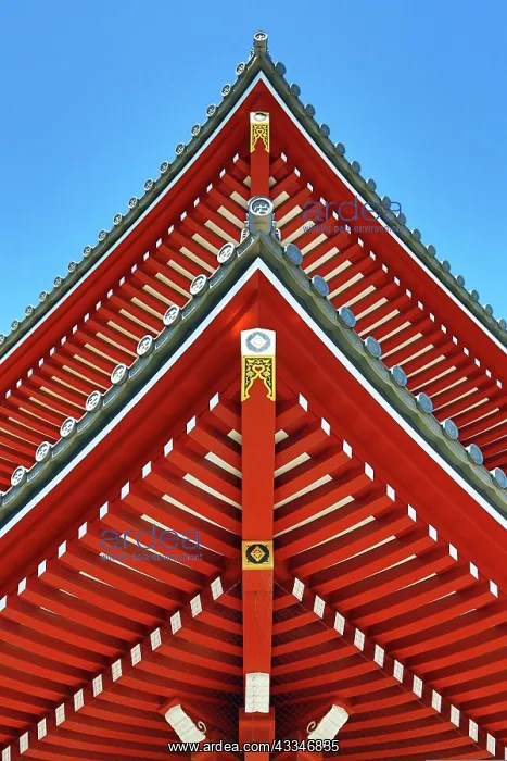 : 80199177 Painted wooden roof beams Asakusa Jinja : 80199177 Painted wooden roof beams Asakusa Jinja