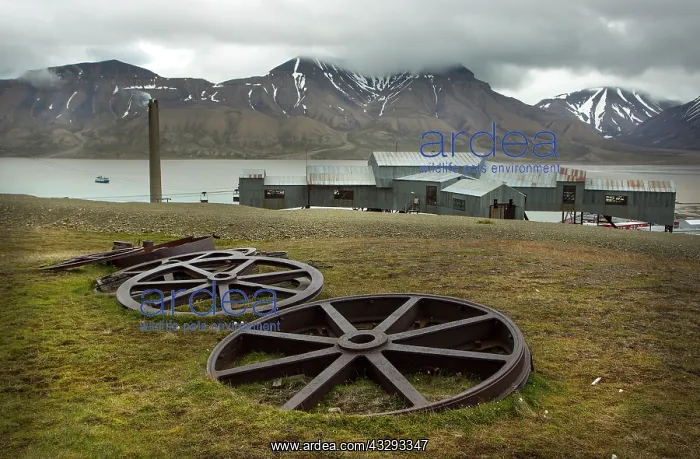 : 80199264 Taubanesentralen Pivot Cableway - pulleys : 80199264 Taubanesentralen Pivot Cableway - pulleys