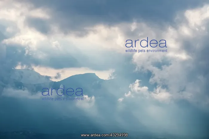 : 80199266 Apennine Mountains - peaks through low : 80199266 Apennine Mountains - peaks through low