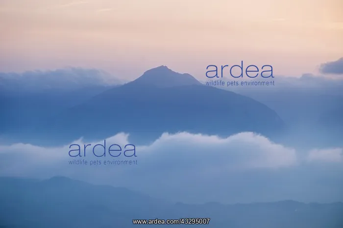 : 80199267 Apennine Mountains - peaks through low : 80199267 Apennine Mountains - peaks through low
