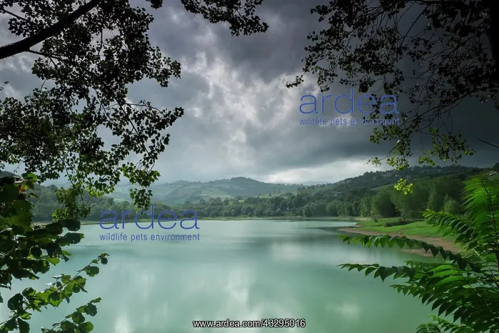 : 80199268 Lago di San Ruffino Le Marche, Italy Geoff : 80199268 Lago di San Ruffino Le Marche, Italy Geoff