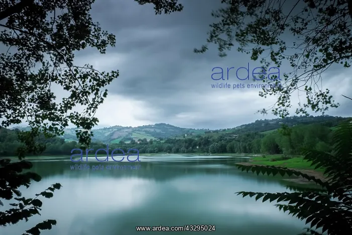 : 80199269 Lago di San Ruffino Le Marche, Italy Geoff : 80199269 Lago di San Ruffino Le Marche, Italy Geoff