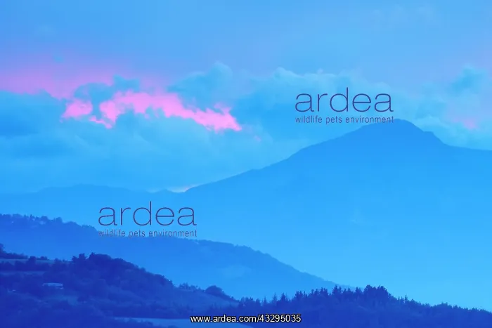 : 80199270 Sunset - towards Apennine range Le Marche : 80199270 Sunset - towards Apennine range Le Marche
