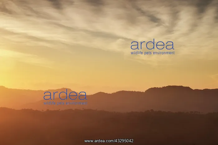 : 80199271 Sunrise Le Marche, Italy Geoff du Feu : 80199271 Sunrise Le Marche, Italy Geoff du Feu
