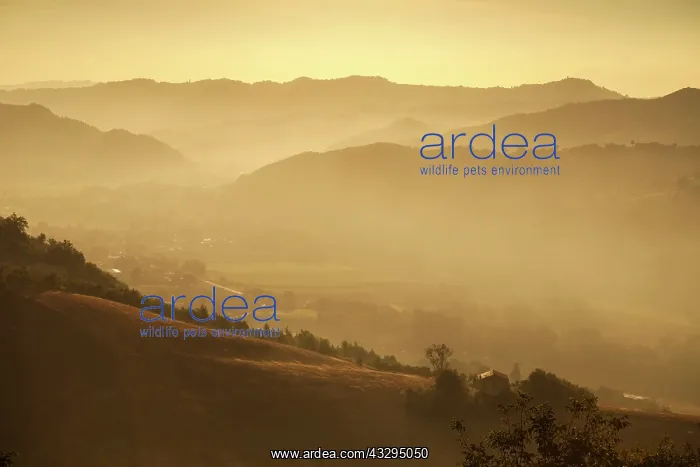 : 80199272 Sunrise Le Marche, Italy Geoff du Feu All : 80199272 Sunrise Le Marche, Italy Geoff du Feu All