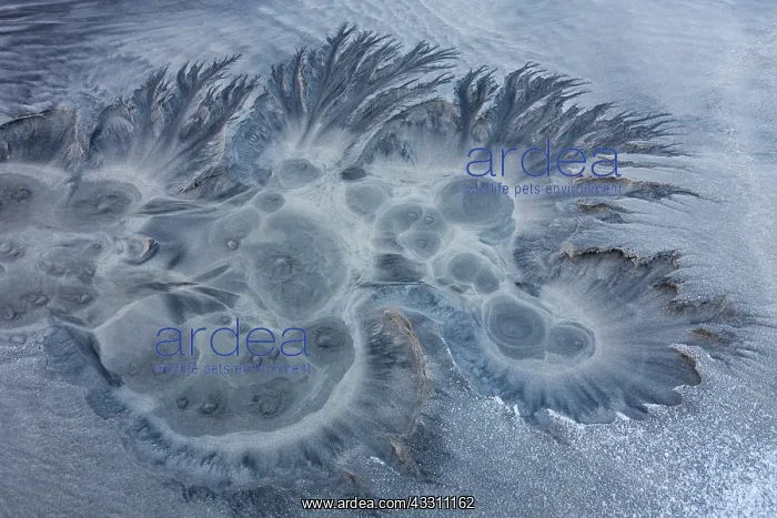 : 80200034 Patterns of Sand - in winter Lofoten, Norway : 80200034 Patterns of Sand - in winter Lofoten, Norway