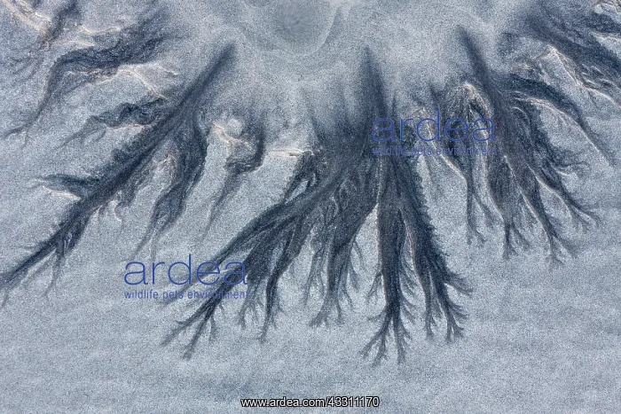 : 80200035 Patterns of Sand - in winter Lofoten, Norway : 80200035 Patterns of Sand - in winter Lofoten, Norway