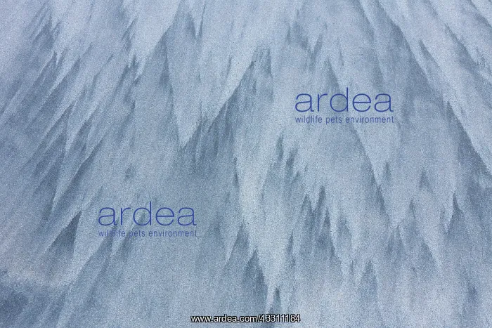 : 80200037 Patterns of Sand - in winter Lofoten, Norway : 80200037 Patterns of Sand - in winter Lofoten, Norway