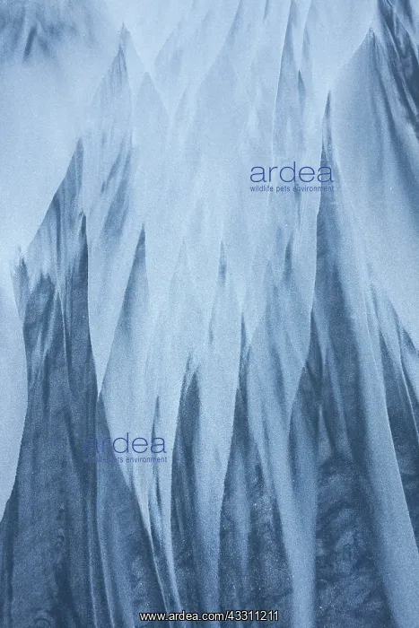 : 80200042 Patterns of Sand - in winter Lofoten, Norway : 80200042 Patterns of Sand - in winter Lofoten, Norway