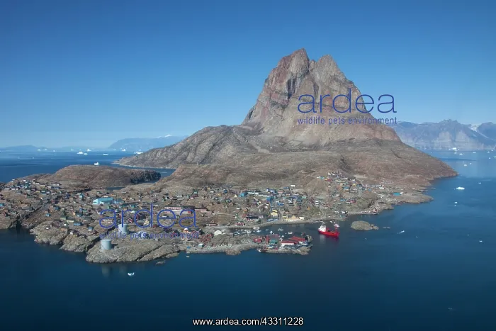 : 80200045 Uummannaq Township - in front of the heart-shaped : 80200045 Uummannaq Township - in front of the heart-shaped