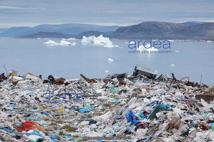 : 80200048 Rubbish Dump Ilulissat, Disco Bay, Greenland : 80200048 Rubbish Dump Ilulissat, Disco Bay, Greenland