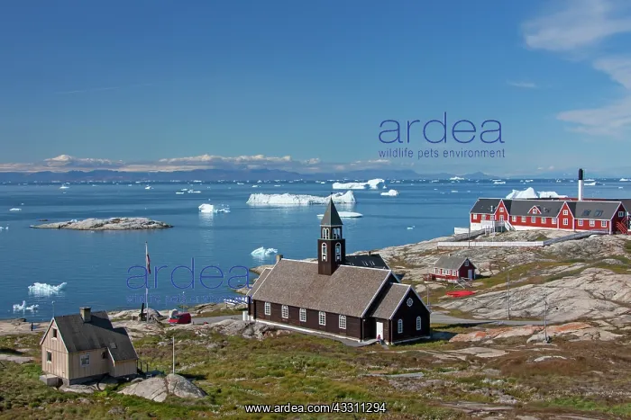 : 80200053 Church Ilulissat, Disco Bay, Greenland : 80200053 Church Ilulissat, Disco Bay, Greenland