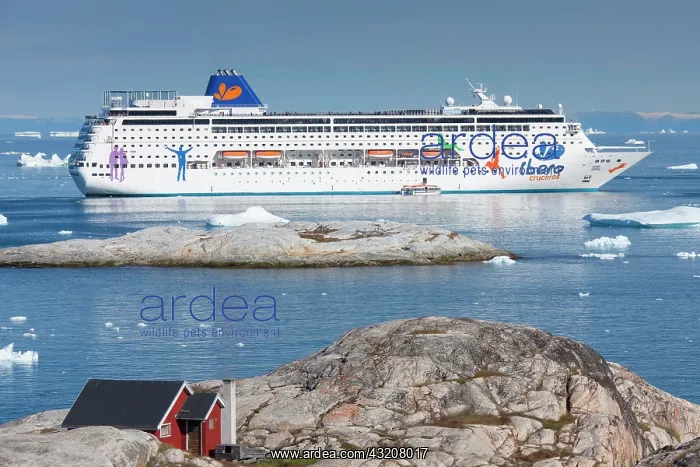 : 80200062 Grand Mistral Cruise Liner Ship - and icebergs : 80200062 Grand Mistral Cruise Liner Ship - and icebergs