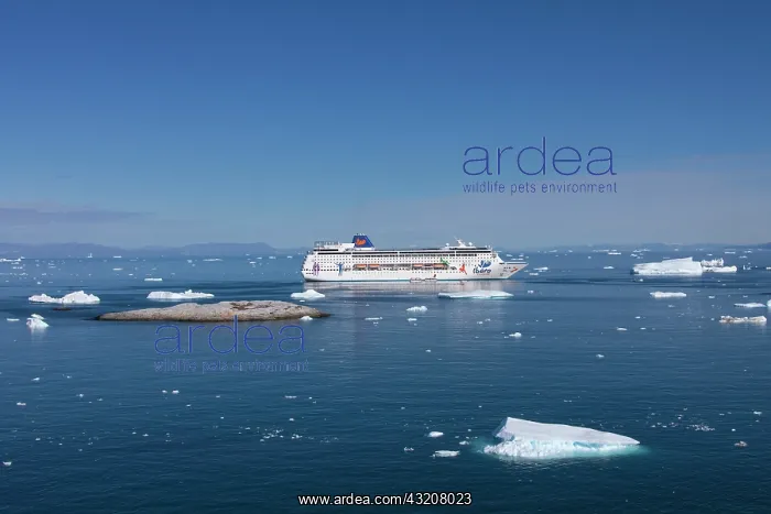 : 80200063 Grand Mistral Cruise Liner Ship - and icebergs : 80200063 Grand Mistral Cruise Liner Ship - and icebergs