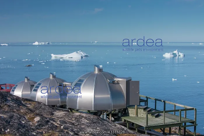 : 80200065 Igloo Houses - Arctic Hotel Ilulissat : 80200065 Igloo Houses - Arctic Hotel Ilulissat