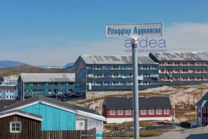 : 80200066 Ilulissat - houses in the town Ilulissat : 80200066 Ilulissat - houses in the town Ilulissat