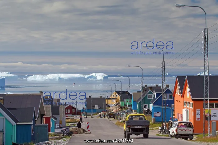 : 80200068 Ilulissat - houses in the town Ilulissat : 80200068 Ilulissat - houses in the town Ilulissat