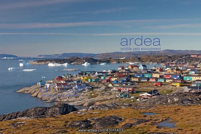 : 80200074 Ilulissat - houses in the town Ilulissat : 80200074 Ilulissat - houses in the town Ilulissat