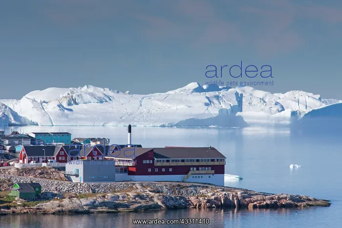: 80200075 Hospital - with icebergs in the background : 80200075 Hospital - with icebergs in the background